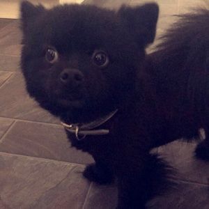 Meet your Posher, Tiffany